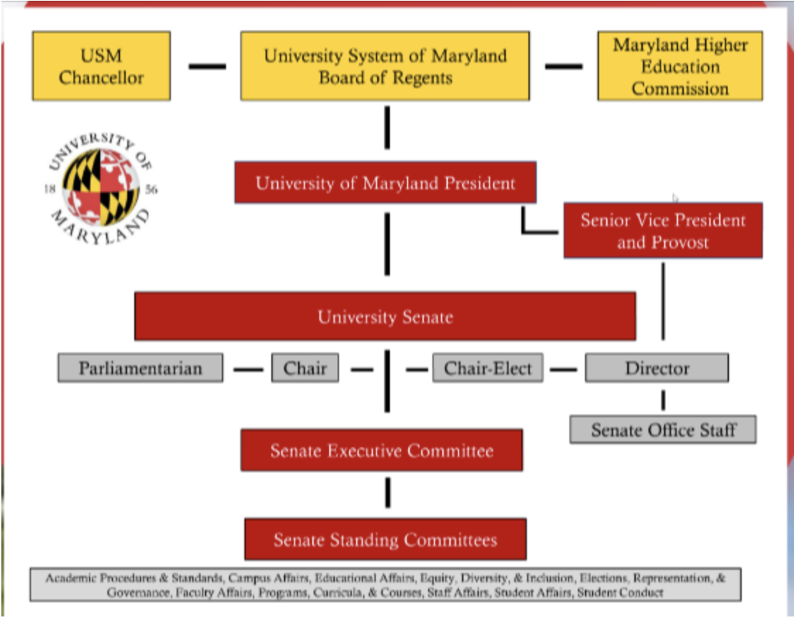 Senate Structure graphic